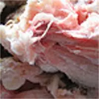 Frozen Whole Chicken, Feet, Paws